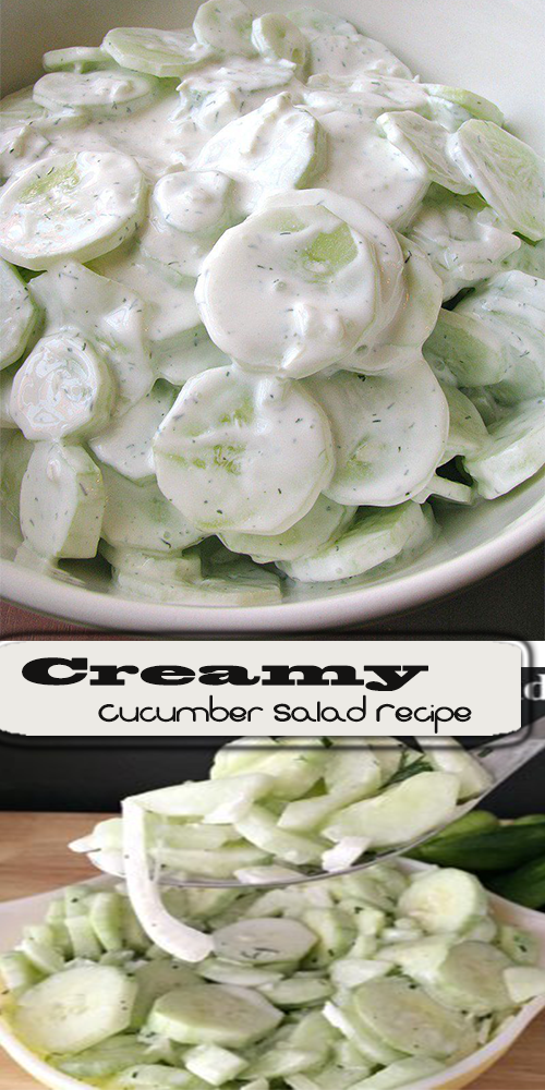 Creamy Cucumber Salad Recipe 1