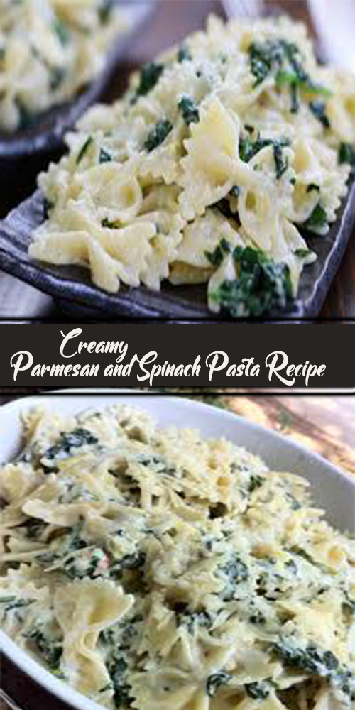 Creamy Parmesan and Spinach Pasta Recipe 1