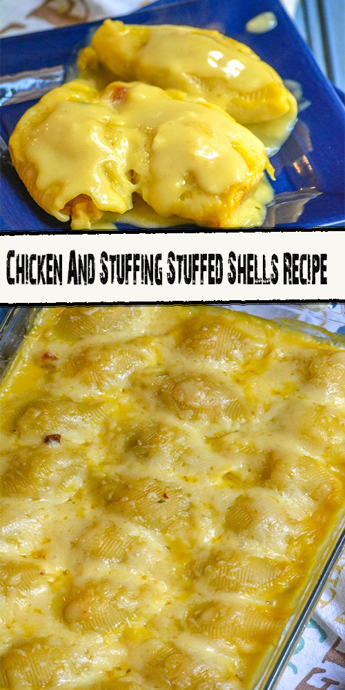 Chicken And Stuffing Stuffed Shells Recipe 1