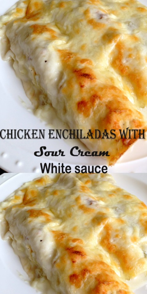 Chicken Enchildas with Sour Cream White sauce Recipe 1